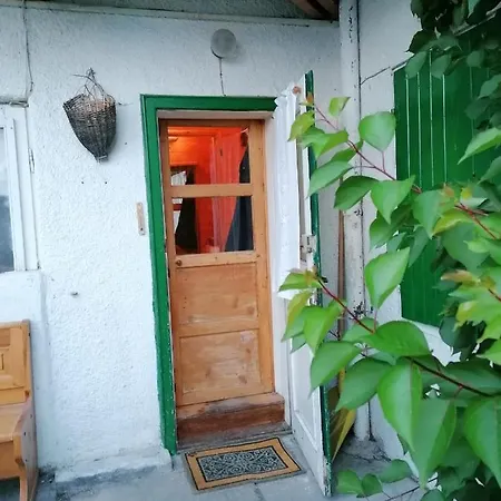 Cortina Studio